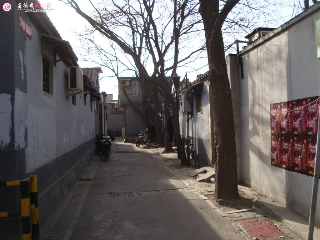 国旺胡同.jpg